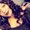 Photo of Shar P.