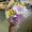 Photo of Megan P.