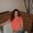 Photo of Crystal K.