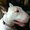 Photo of Ashlee L.