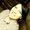 Photo of Nicole M.