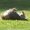 Photo of Yolie M.
