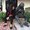 Photo of Layla H.