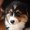 Photo of Jessy A.