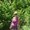 Photo of Holistic Health Provider Susan A.