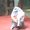 Photo of Marz P.