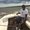 Photo of Efrem S.