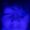 Photo of Purple P.