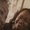 Photo of Tierra M.