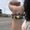 Photo of Iss N.