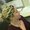 Photo of elisa g.