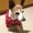 Photo of Carole M.