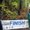 Photo of Marsha L.