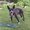 Photo of Bogey M.