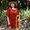 Photo of Sonja B.