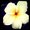 Photo of Stephani G.