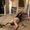 Photo of Krista K.