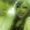 Photo of Gabriela L.