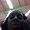 Photo of Kelly P.