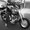 Photo of Shovelhead Skip M.