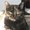 Photo of Dawn R.
