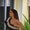 Photo of Helya N.