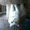 Photo of Teagues C.