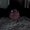 Photo of Janet F.