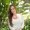 Photo of Breanne D.