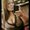 Photo of Susy C.
