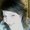 Photo of Maureen G.