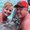Photo of Kathy S.