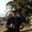 Photo of E Travis H.