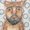 Photo of Bara B.