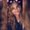 Photo of Chelsie J.