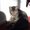 Photo of Kitty C.