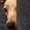 Photo of Mel C.
