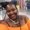 Photo of Elaysha W.