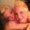 Photo of Leatrice R.