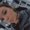 Photo of Lexi P.