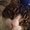 Photo of Amanda M.