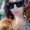 Photo of Paola D.