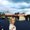 Photo of Tiina B.