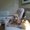Photo of Desiree T.