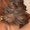 Photo of Alondra C.