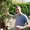 Photo of Aaron H.