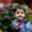 Photo of Sudhir V.