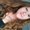 Photo of Melissa S.