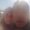 Photo of Jesus A.
