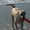 Photo of Susie M.